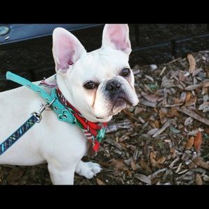 Meet your Posher, Stefani